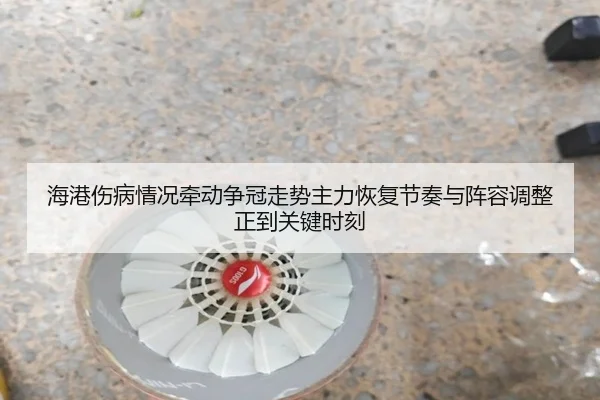 海港伤病情况牵动争冠走势主力恢复节奏与阵容调整正到关键时刻